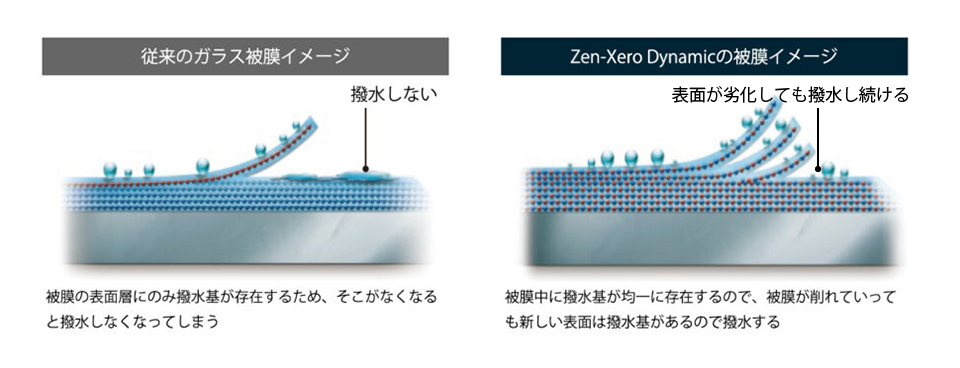 従来のガラス被膜とZen-Xero Dynamicの被膜イメージ